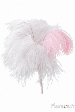 Pluim struisvogel - 4 veren, hoogte 20-24 cm - crème-roze